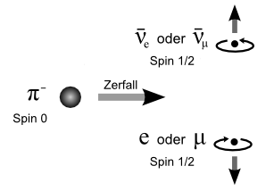 Pionzerfall
