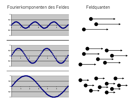 Feldquanten